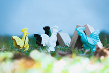 Load image into Gallery viewer, Rooster shakers