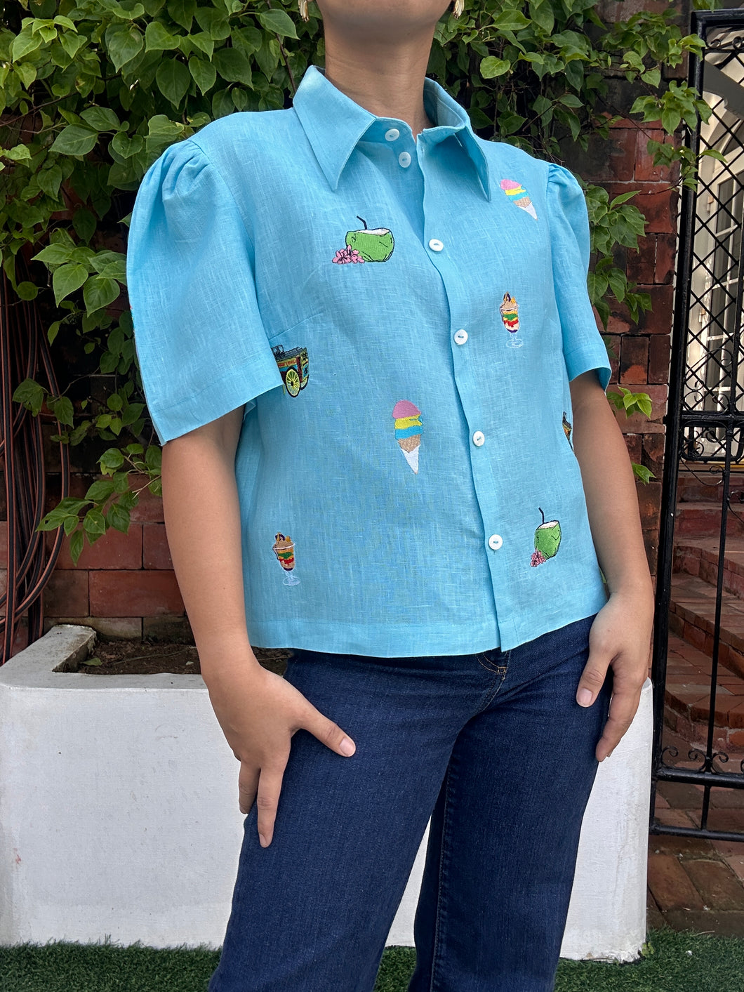 Halo-halong embroidery top