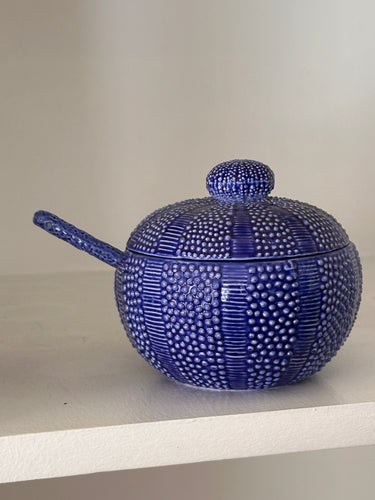 Salungo container in blue
