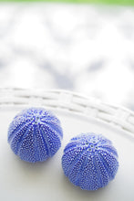 Charger l'image dans la galerie, Blue Salungo salt and pepper shakers