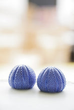Charger l'image dans la galerie, Blue Salungo salt and pepper shakers