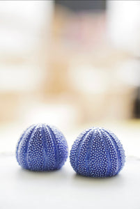 Salungo salt and pepper shakers in blue