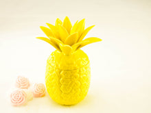 Load image into Gallery viewer, Pineapple containers