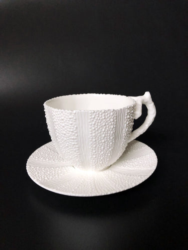Salungo cup and saucer